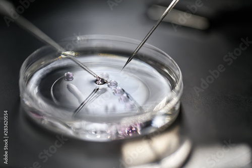 Process of in vitro fertilization in laboratory