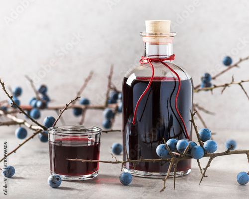 Glass of homemade sloe liqueur or gin decorated with fresh juicy ripe berries. Selective focus. Copy space.