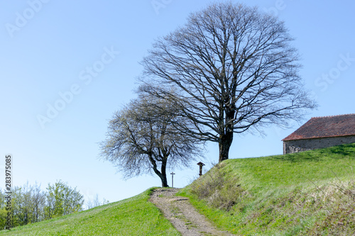 The hiking path of the Gods road or " La Via degli Dei" an ancient way in the Apennines mountains in Italy