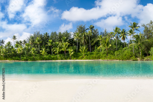 Tropical rainforest along the river