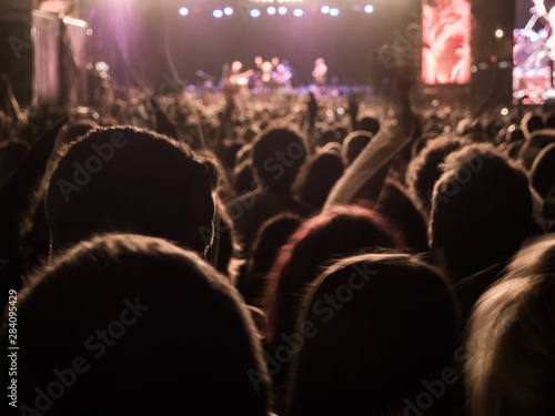 People enjoying of a music concert outdoors at the night