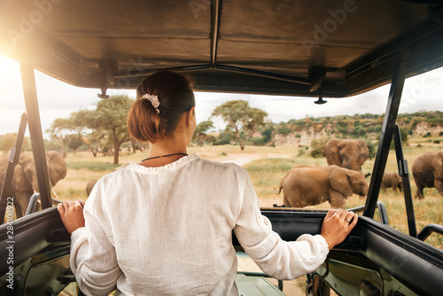 Woman tourist on safari in Africa, traveling by car with an open roof in Kenya and Tanzania, watching elephants in the savannah