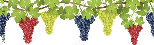 grapes and leaves banner background seamless