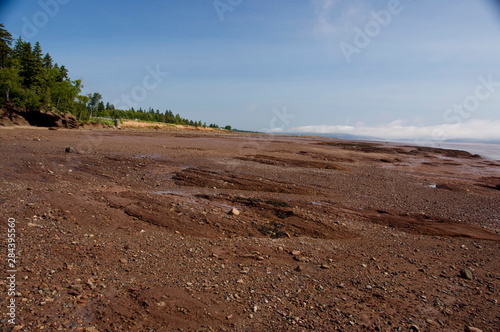 Canada, New Brunswick, Hopewell Cape, Bay of Fundy. Hopewell Rocks at low tide.
