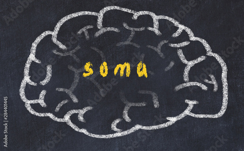 Drawind of human brain on chalkboard with inscription soma