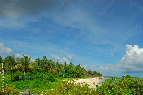 Lush vegetation bording a white sand beach