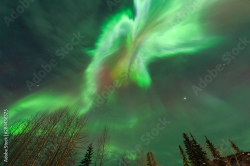 Viewing straight up at Corona, explosion of light, Aurora borealis, northern lights, near Fairbanks, Alaska