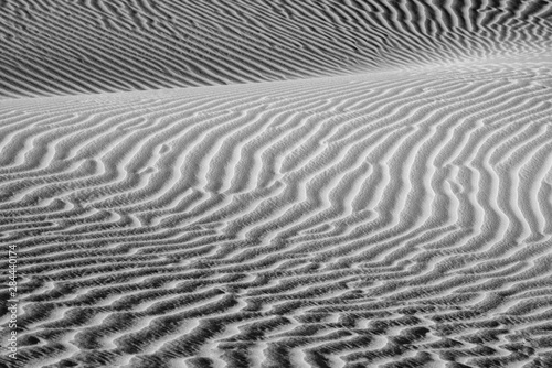 USA, California. Black and white image of windblown sand dune