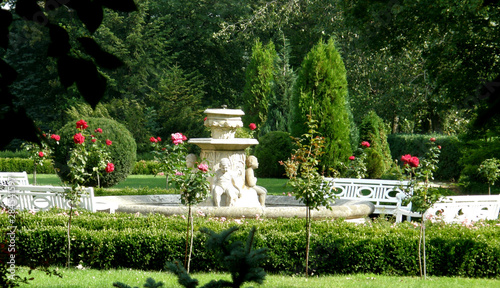 Zielony plac w centrum parku z fontanną