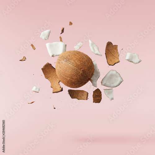 Fresh ripe coconut isolated on pink background