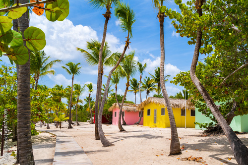 Colorful houses on Catalina beach, dominican republic with palm trees