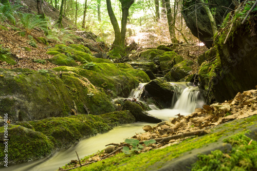 Bosque en el valle de Baztán, Navarra. Cascada agua