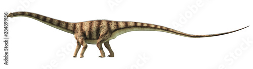 Diplodocus was a sauropod dinosaur that lived in North America during the late Jurassic. Here is is pictured on a white background. 3D Rendering.