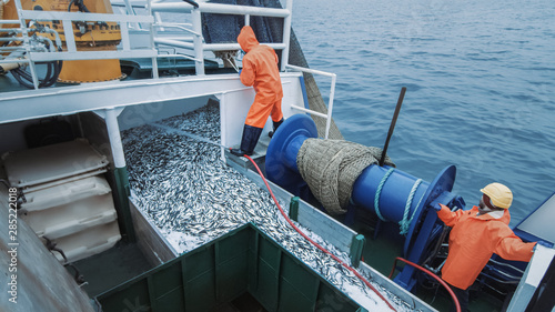 Crew of Fishermen Open Trawl Net with Caugth Fish on Board of Commercial Fishing Ship