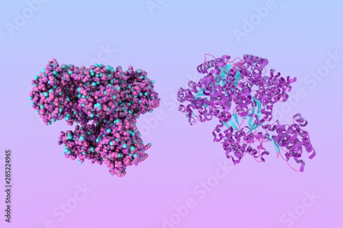 Anthrax toxin lethal factor. Molecular and crystal structure of anthrax toxin produced by bacterium Bacillus anthracis. Medical background. Scientific background. 3d illustration