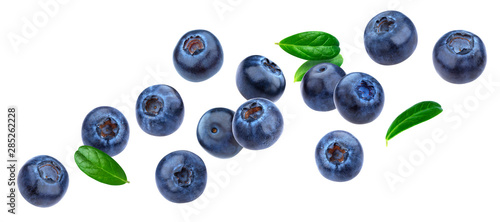 Blueberry isolated on white background with clipping path