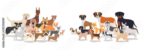 group of dogs pets characters