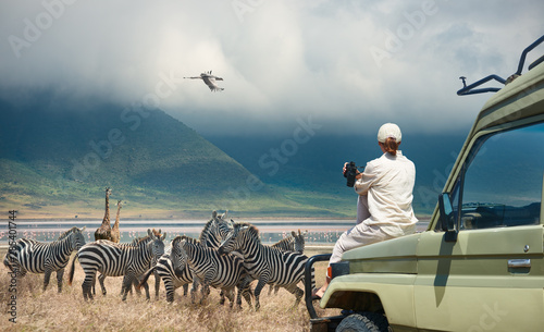 Woman tourist on safari-tour in Africa, traveling by car in Tanzania, watching wild animals and birds in the National park Ngorongoro