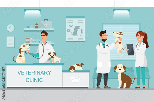 Veterinarian and doctor with dog and cat on counter in vet clinic
