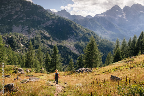 Mountain landscape. Woman hiking sense of freedom on the path. Conifer of fir and larch, mountain range in background. Italian Alps , Gran paradiso National Park, Ceresole Reale lake, Piedmont, Italy