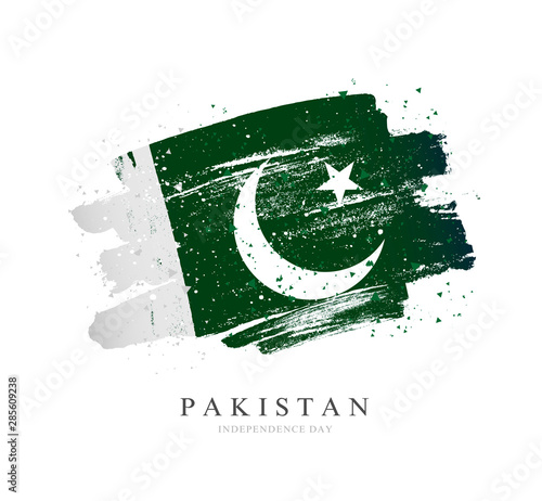 Flag of Pakistan. Vector illustration on a white background.