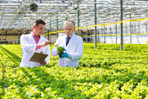 Photo of two male botanist examining herbs while writing on clipboard in plant nursery