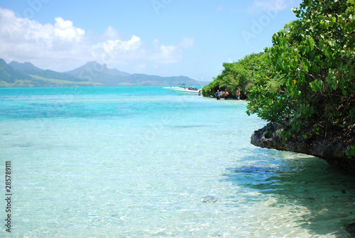 ile aux aigrettes on mauritius