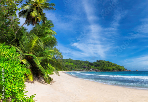 Panoramic view of paradise beach in tropical island. Coconut palms on sunny beach and turquoise sea. 