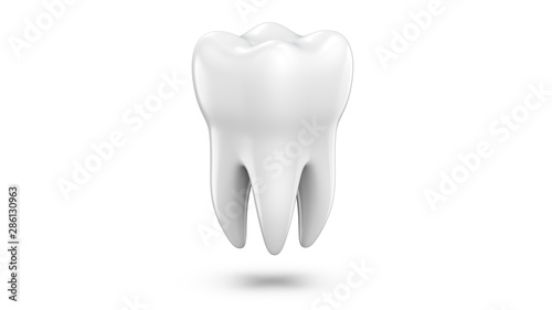 Dental 3d model of premolar tooth as a concept of dental examination teeth, dental health and hygiene. 3d rendering illustration isolated on white background.