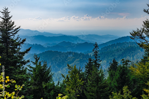 View down of a mountain in Black Forest / Schwarzwald, Germany