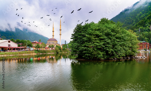 Panoramic view of Uzungol which is a tourist attraction in Trabzon, Turkey. Uzungol with stork birds.