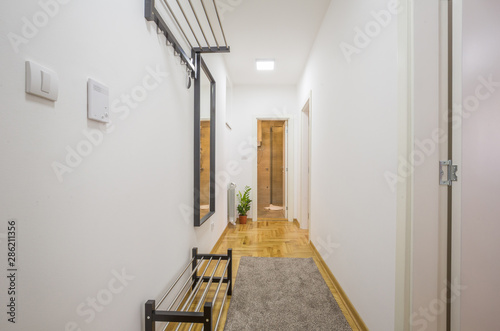 Interior of an apartment entrance corridor