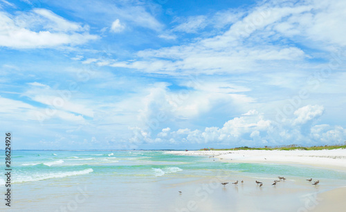 Panorama of the Beautiful White Sand Beach of the Florida Gulf Coast