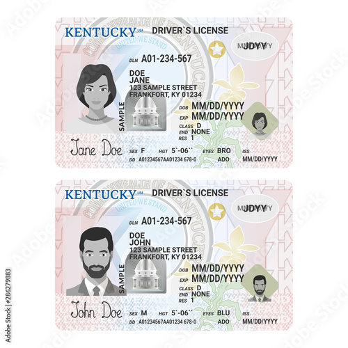 Vector template of sample driver license plastic card for USA Kentucky