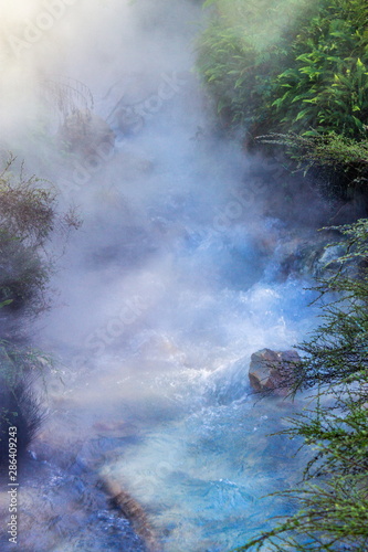 Geothermal steam rises from a heated running river at the Waimangu Volcanic Valley in Rotorua, New Zealand.