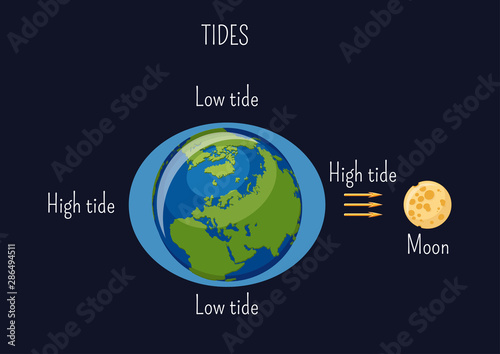 Low and high lunar tides diagram. Effect of Moon gravitational force on seacoast water level.