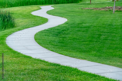 Close up of a pathway winding though a terrain covered with short vivid grasses