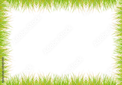 Green grass frame over white