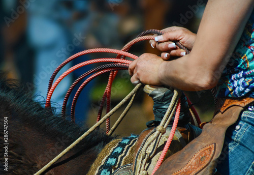 cowgirl hiding horse reins