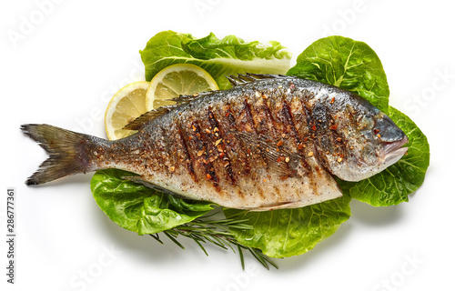 grilled fish on green salad leaves