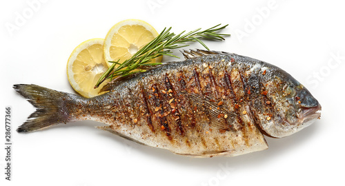 grilled fish on white background