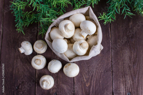 Champignon mushrooms in a bag on a dark background with a sprig of greenery