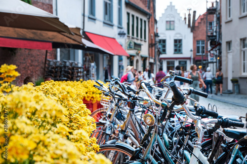 Bicycles parked near yellow flowers