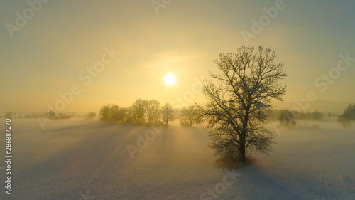 AERIAL: Rising above misty winter landscape on magical winter morning at sunrise