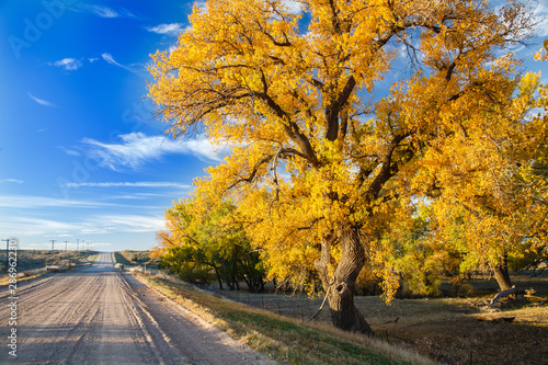 Cottonwood Road