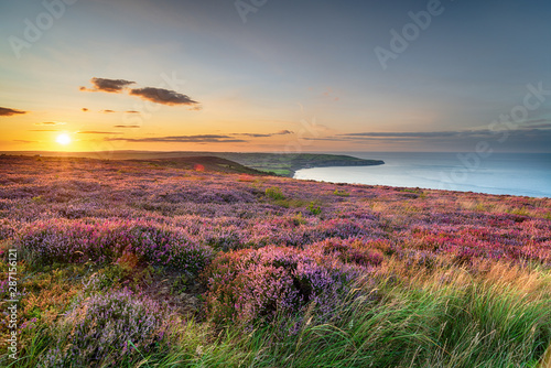 Sunset over heather in bloom on the North York Moors National Park