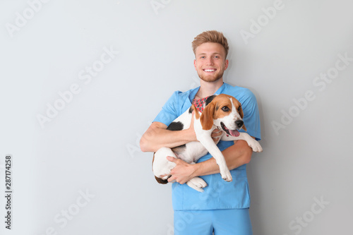 Male veterinarian with cute dog on light background
