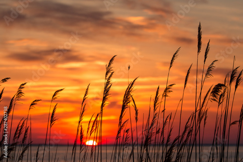 beautiful chesapeake bay colorful sunrise landscape in southern maryland calvert county usa