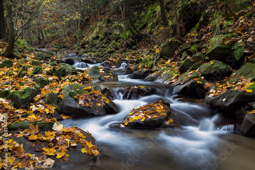 Jesienny górski potok