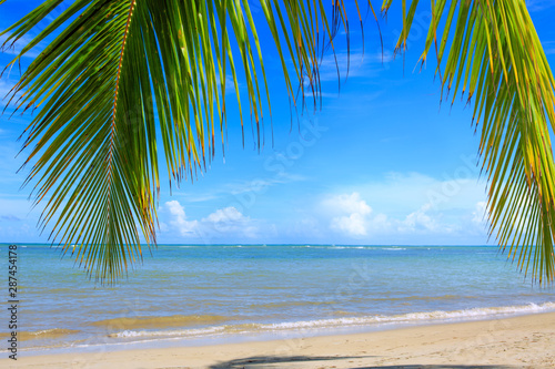 Palm tree branch and Caribbean sea . Travel background.